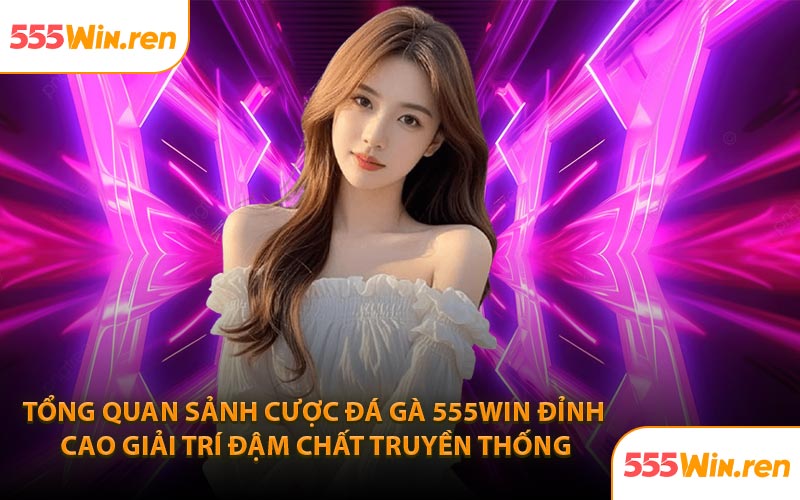 Tổng quan sảnh cược đá gà 555WIN đỉnh cao giải trí đậm chất truyền thống